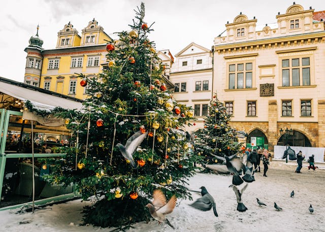 Juletræstænding i svebølle